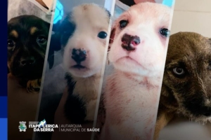 Divulgação | Arquivo | PMIS