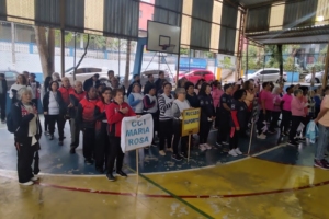 Renata Gomes | Secom