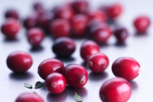 Shirley Legnani | Divulgação