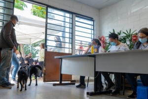 Petterson Costa | PMTS