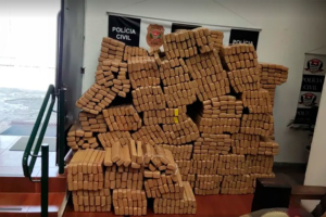 Jornal da Região / Reprodução