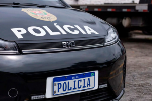 Divulgação / BYD