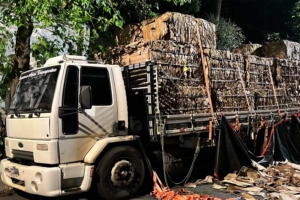 Divulgação / Polícia Civil