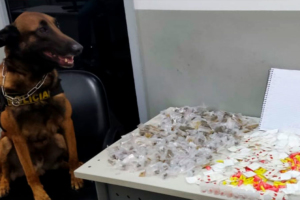 Divulgação / PM / BAEP