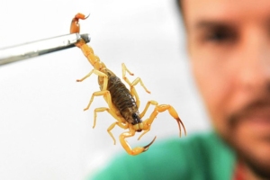 Divulgação | Ministério da Saúde