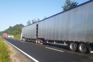 Divulgação | Arteris