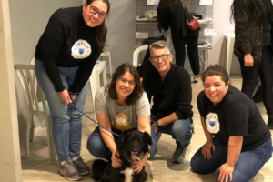 Divulgação | Patre