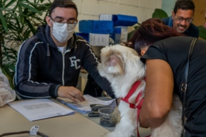 Petterson Costa | Secom | PMTS