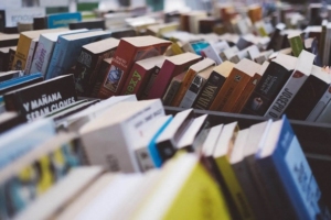 Reprodução / Pixabay