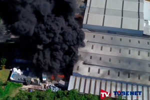 Reprodução / Tube Net TV