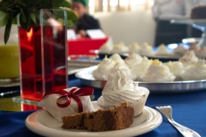 Petterson Costa | Secom | PMTS