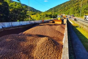 Divulgação | Arteris