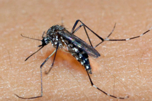 Elias Costa / Governo RS