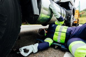 Divulgação | Arteris