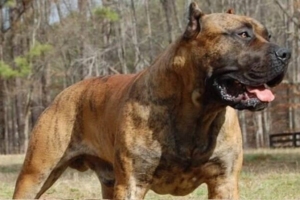 Imagem Ilustrativa | Reprodução | Redes Sociais