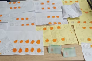 Reprodução | Polícia Civil | Detran SP