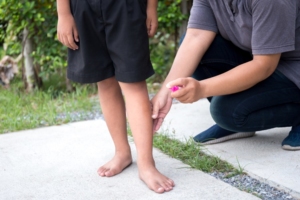 Divulgação | Governo do Estado de SP