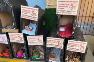 Divulgação | Patre