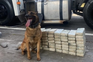 Divulgação | SSP SP