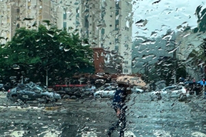 Eduardo Toledo / O Taboanense