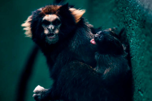 Paulo Pinto / Agência Brasil