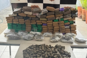 Divulgação | SSP SP