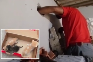 Divulgação | SSP SP