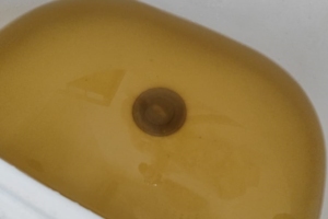 Divulgação | Leitor do Portal O Taboanense