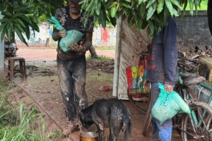 Divulgação | Patre