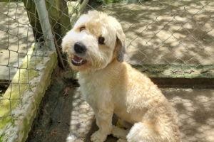 Divulgação | Patre