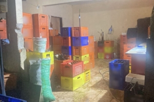 Divulgação | SSP SP