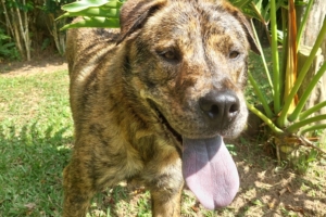 Imagem Ilustrativa | Divulgação | Arteris