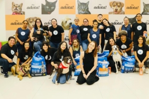 Divulgação | Mendy Fotografia