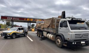 Divulgação | SSP SP