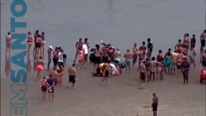 Viver em Santos / Divulgação