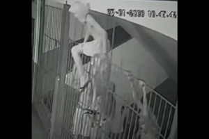 Reprodução| Tubenettv