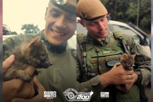 Divulgação | PMESP