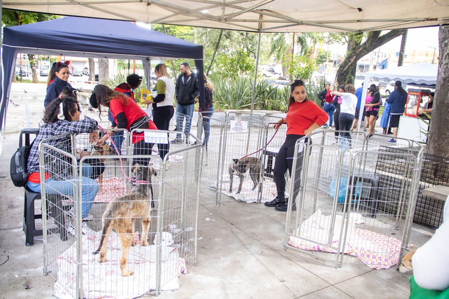 Ricardo Vaz | Secom | PMTS