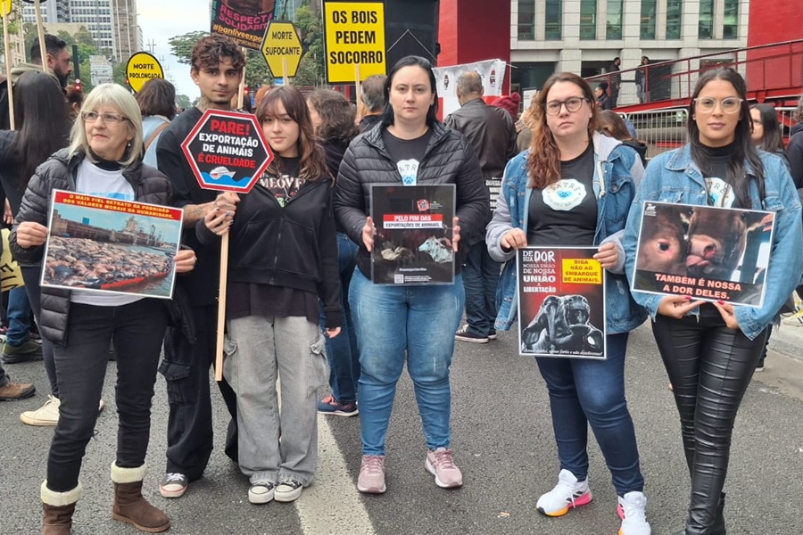 Cynthia Gonçalves | Patre