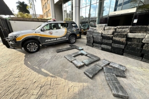 Divulgação | SSP SP