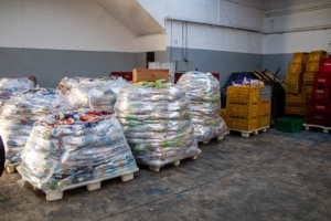 Antonia Alves | Secom