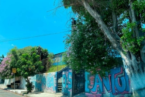 Eduardo Toledo / O Taboanense