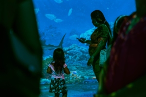 Divulgação | Nicole Rodrigues