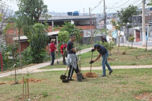 Antonia Alves | Secom | PMTS