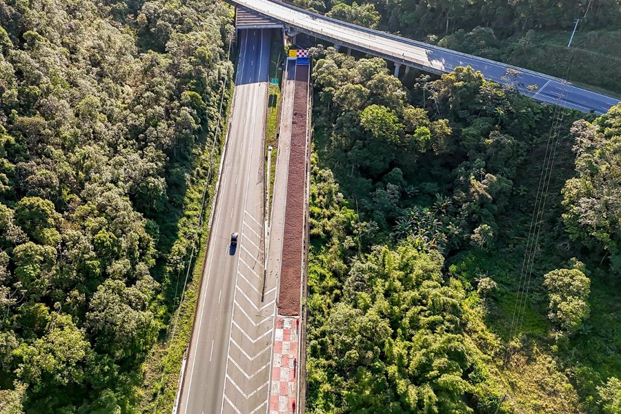 Divulgação | Arteris