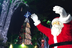 Fábio Mendes | Divulgação | PMEA