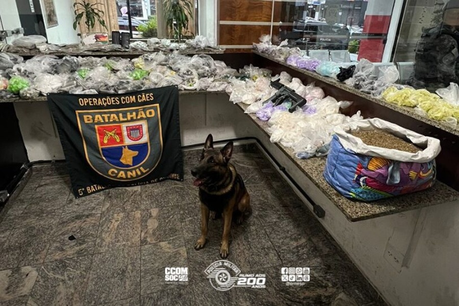 Divulgação | PMESP