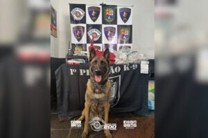 Divulgação | PMESP