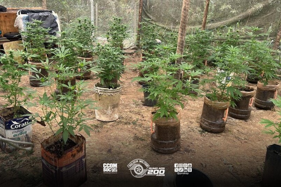 Divulgação | PMESP