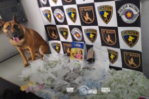 Divulgação | PMESP